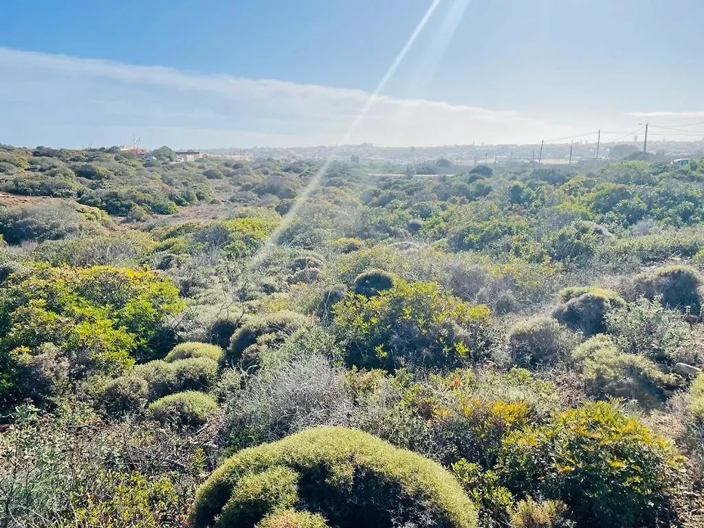 Feelgood Sagres Vegan Homestay